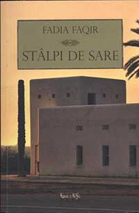 3949-stalpi-de-sare